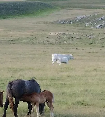 Nonno Severino Bed & Breakfast