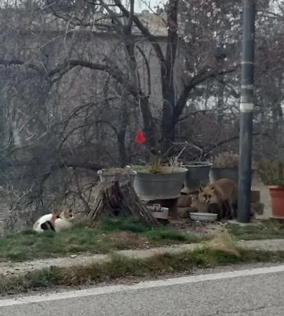 Nonno Severino 3* Santo Stefano Di Sessanio