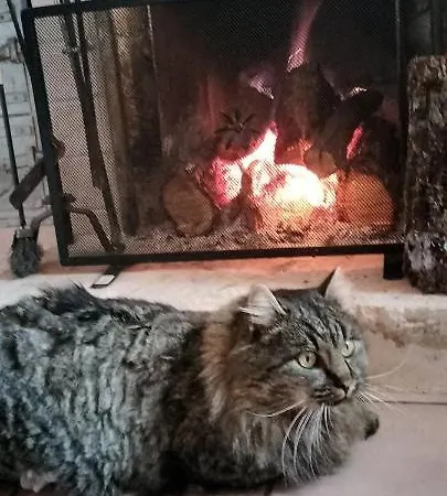 Nonno Severino Bed & Breakfast