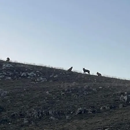 Nonno Severino Bed & Breakfast 3*