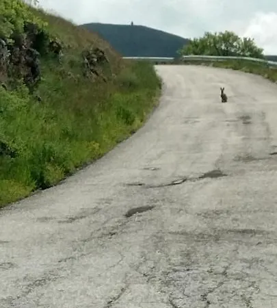 Nocleg ze śniadaniem Nonno Severino 3*