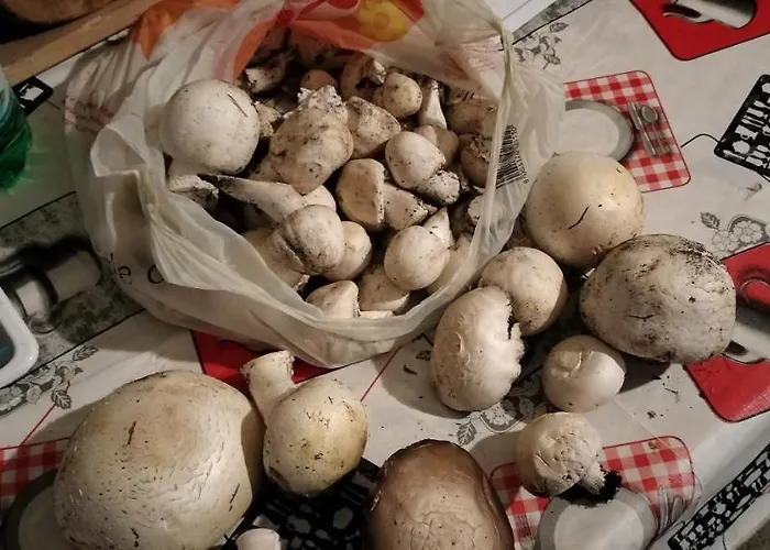 Nonno Severino ベッド・アンド・ブレックファスト 3*