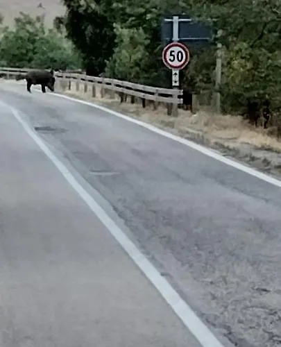 Nonno Severino Panzió Santo Stefano di Sessanio