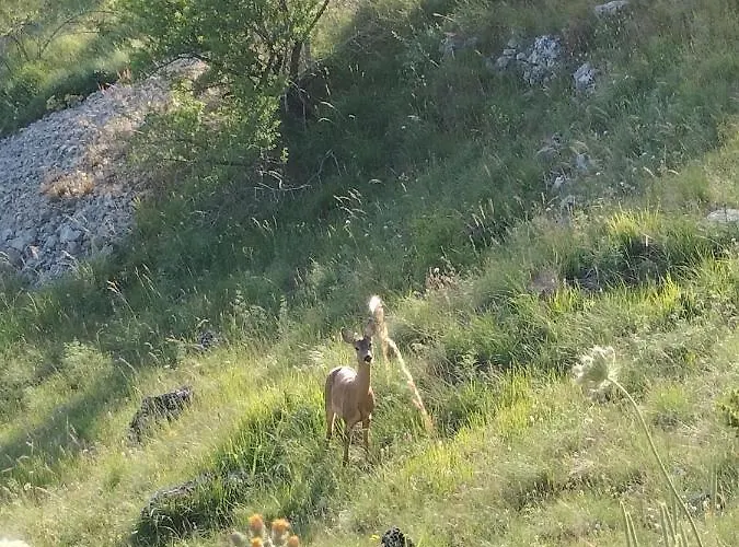 Nonno Severino Panzió