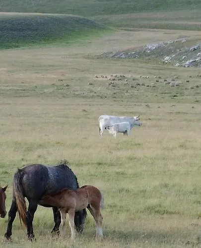 Nonno Severino Panzió