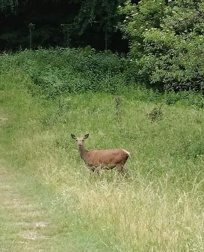 Nonno Severino Panzió