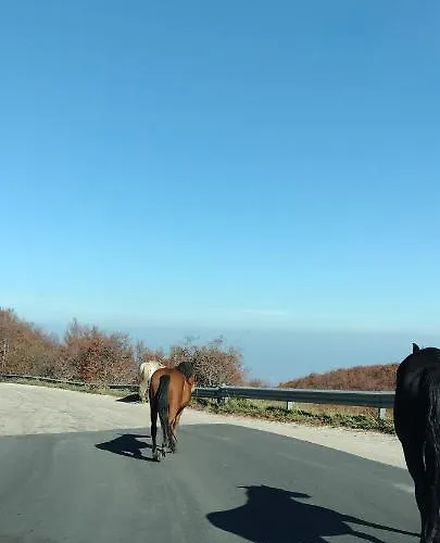 Bed & Breakfast Nonno Severino Santo Stefano Di Sessanio