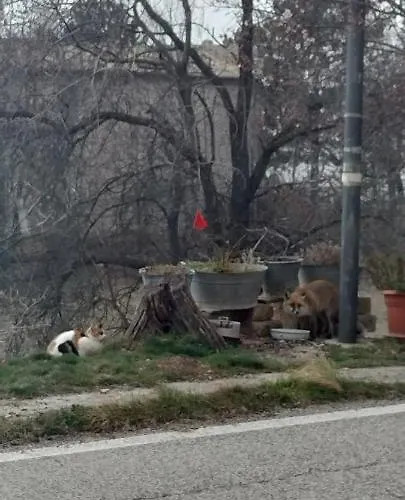 Nonno Severino 3* Santo Stefano Di Sessanio