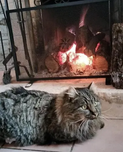 Nonno Severino ベッド・アンド・ブレックファスト