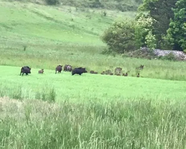 Panzió Nonno Severino 3*