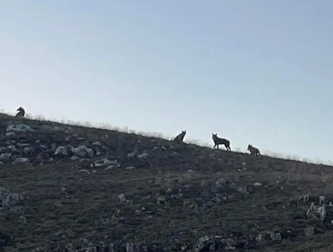 Nonno Severino Panzió 3*