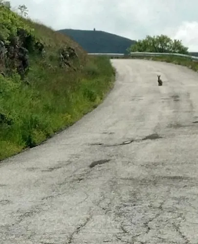 Panzió Nonno Severino 3*